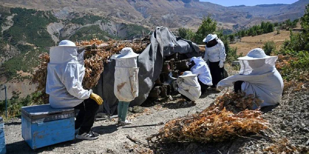 Şehirdeki kariyerini bıraktı, doğayla kazanmaya başladı: Ailesi en büyük yardımcısı: 3 yılda kazancını katladı! 2